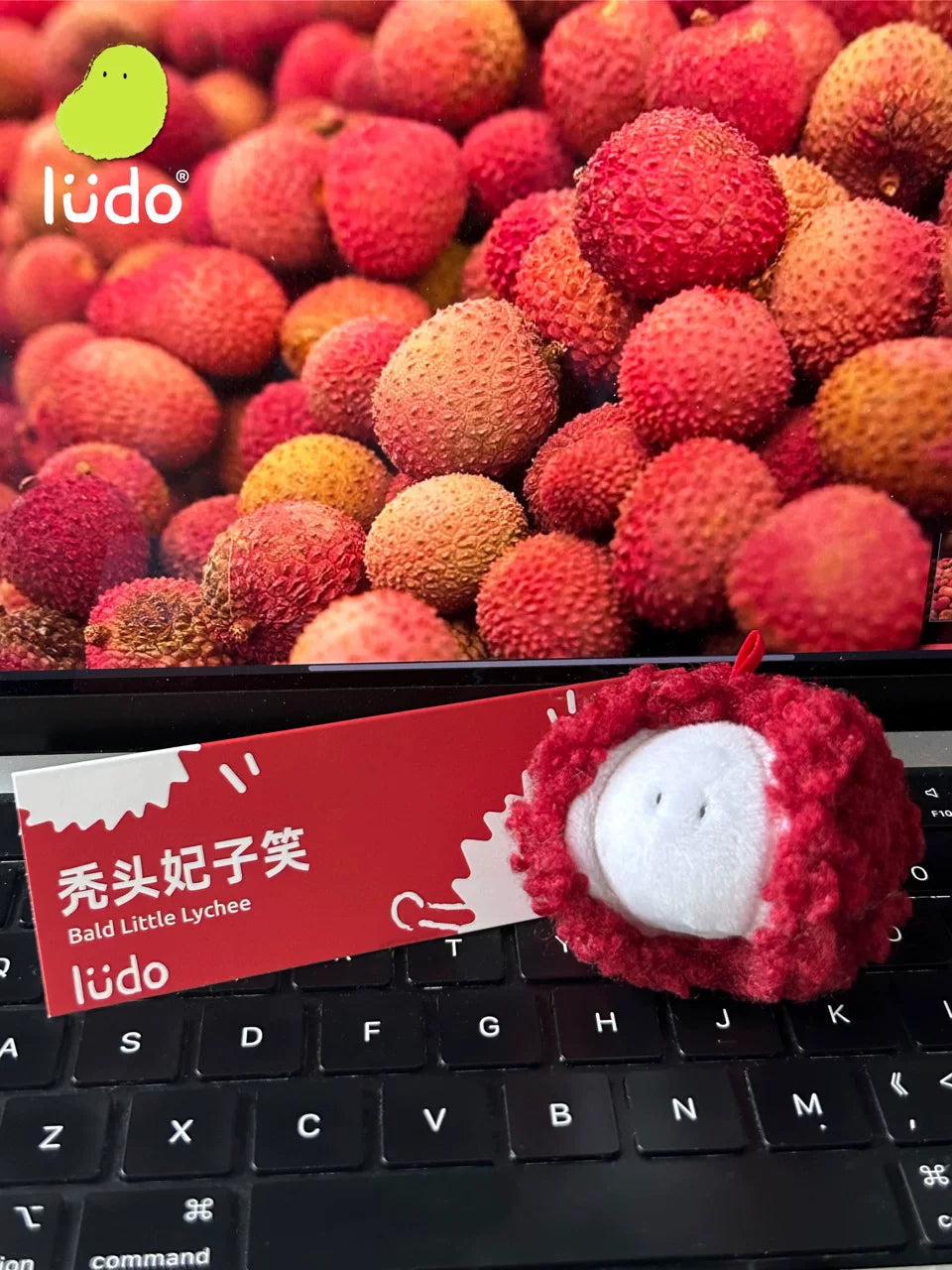 LUDO Bald Fruits Lychee Plush Keychain - image 2