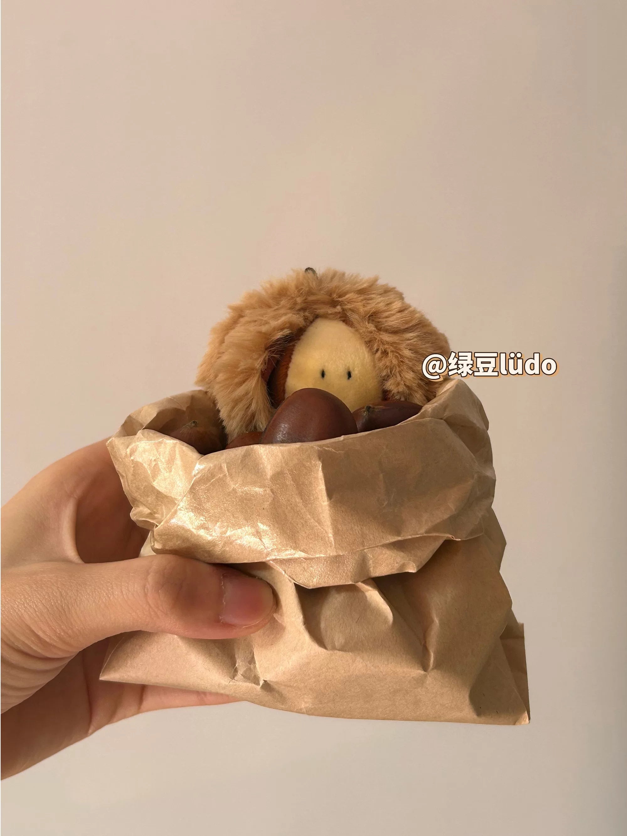 LUDO Bald Fruits Chestnut Plush Keychain - image 4
