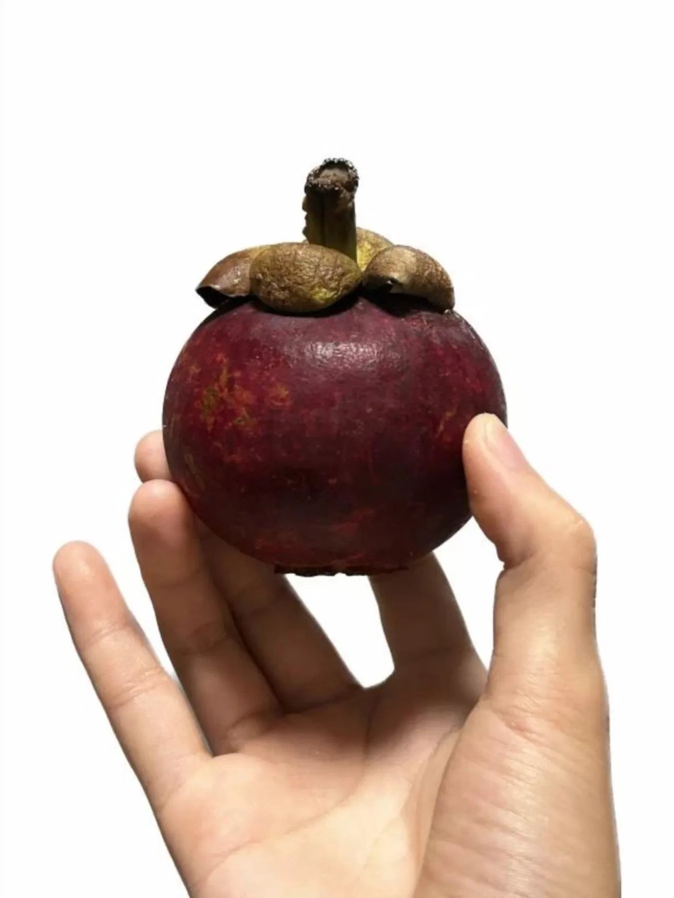 LUDO Bald Fruits Mangosteen Plush Keychain - image 4