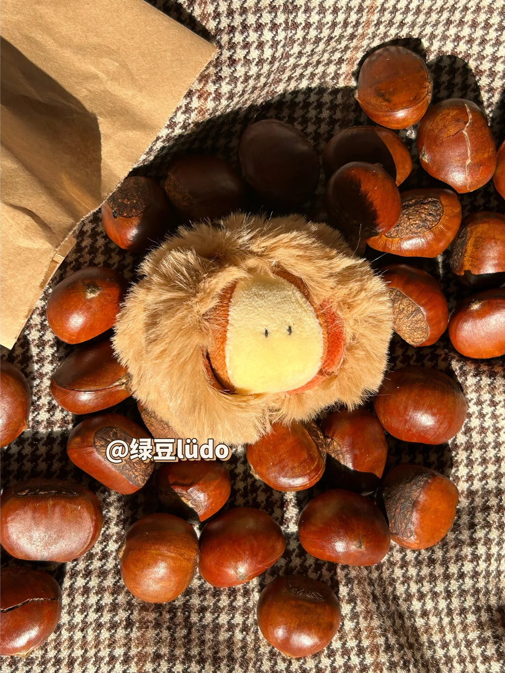 LUDO Bald Fruits Chestnut Plush Keychain - image 3