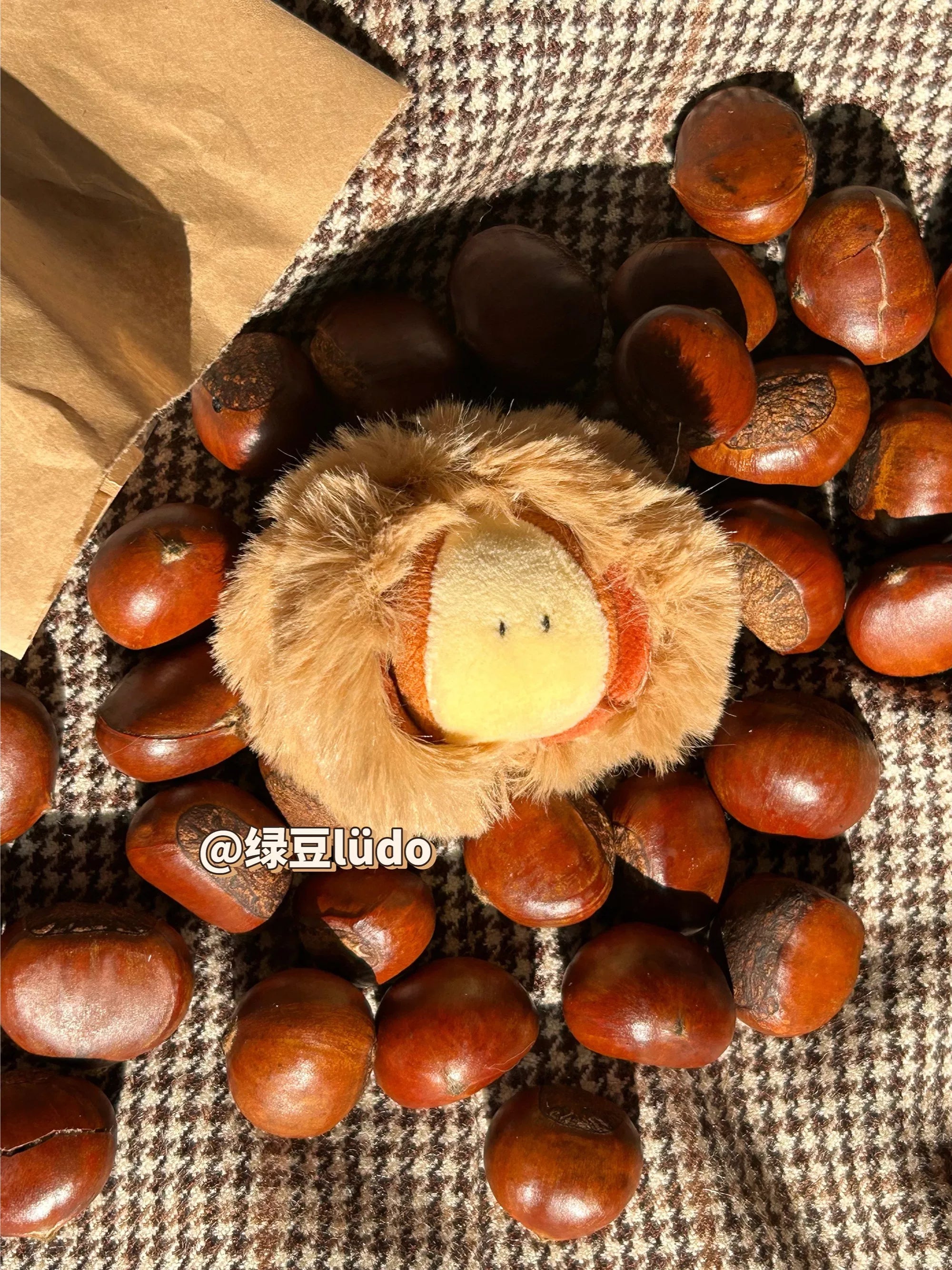 LUDO Bald Fruits Chestnut Plush Keychain - image 3